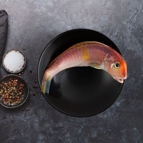 참옥돔(가정용) 소 1Kg 6마리